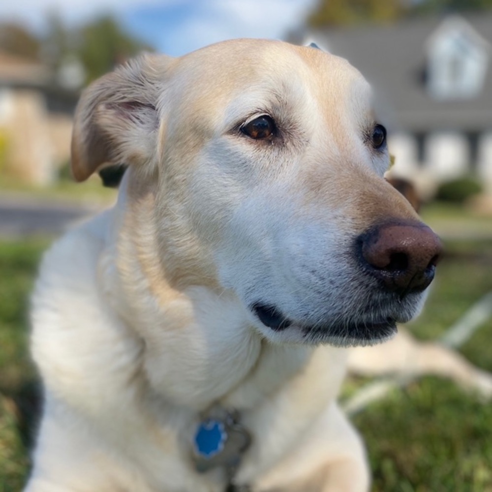 Meet your Posher, theEYEforFLY